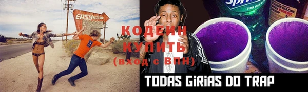 шишки Волоколамск