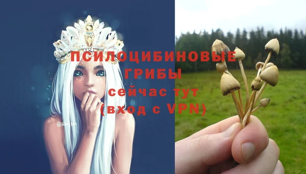шишки Волоколамск