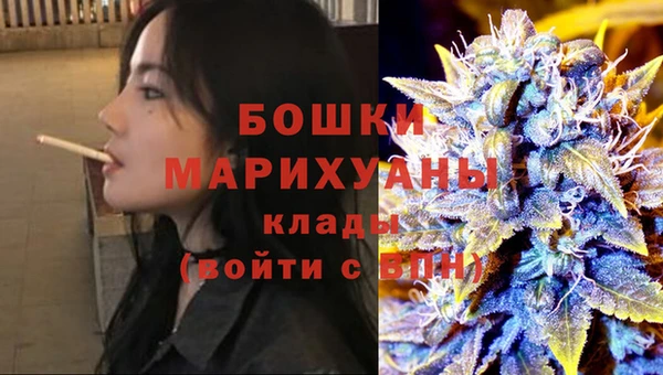 шишки Волоколамск