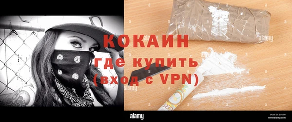 шишки Волоколамск