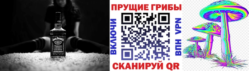 где найти наркотики  Невьянск  Псилоцибиновые грибы ЛСД 